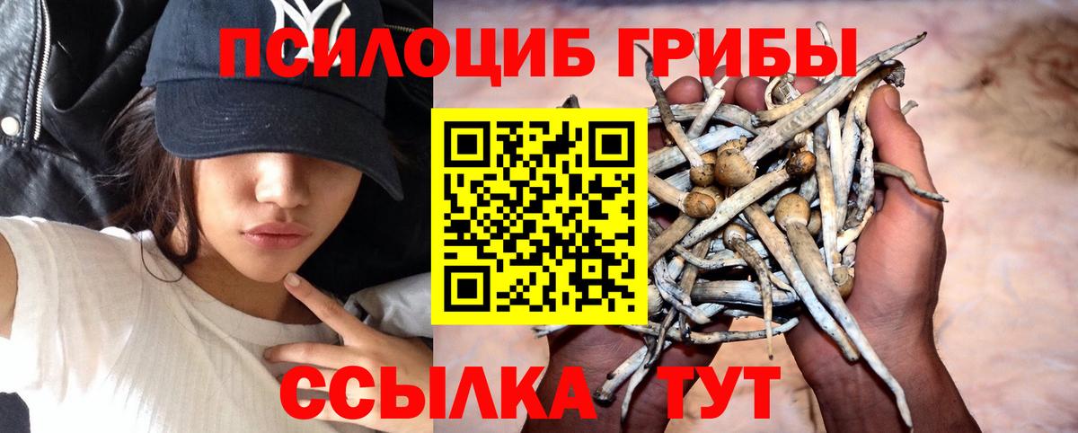 где купить наркоту  Вход с VPN  Псилоцибиновые грибы Magic Shrooms  Россия  Псилоцибиновые грибы мухоморы 